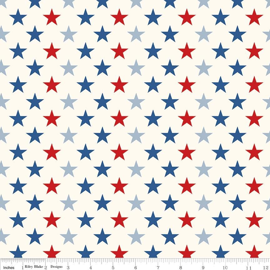 Freedom Garden Stars Multi - by My Mind's Eye for Riley Blake Designs - Sold in 1/2 Yard Increments, Continuously Cut