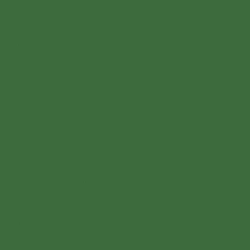 Pickle Green Confetti Cotton Solids - C120 - 100% Cotton Quilting Fabric By Riley Blake Designs -Sold in 1/2 yard increments, continuous cut