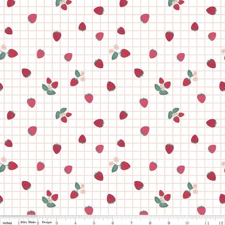 Berry Market Gingham Berries White Cotton Quilting Fabric by Bev McCullough / Riley Blake - Sold by the 1/2 yard, continuously cut. C15747
