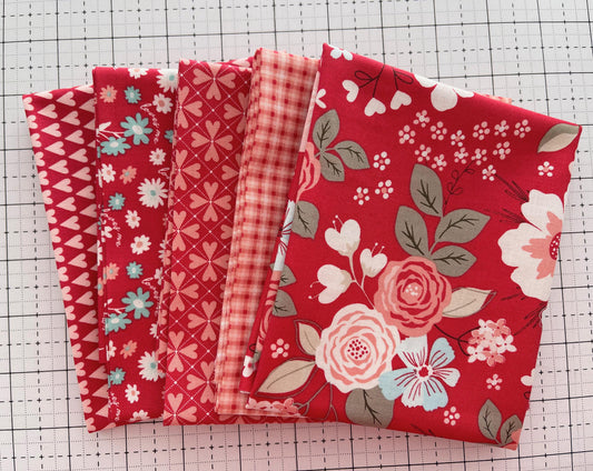 You & Me Bundles - Multiple Colors and Sizes - By Sandy Gervais for Riley Blake Designs