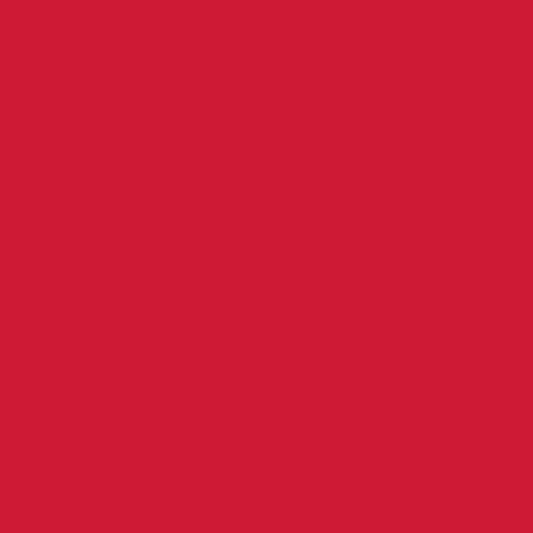 Schoolhouse Red Confetti Cottons - C120 by Riley Blake Designs - Sold in 1/2 Yard increments, continuously cut