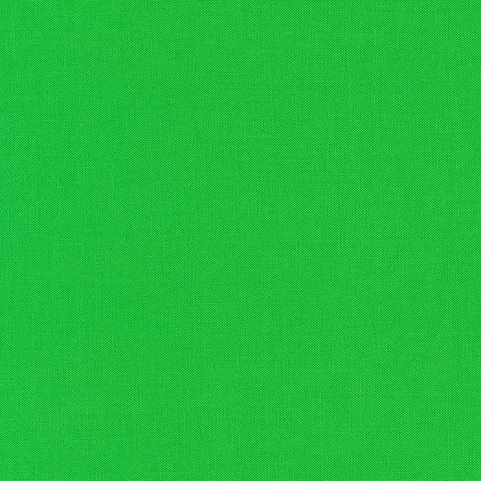 Kiwi Kona Cotton - K001-1188 sold in 1/2 yard increments, continuously cut